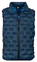 12275 Igloo - Bleu BD.webp