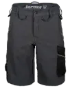Bermuda JORASS